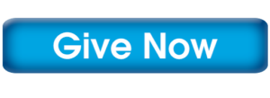 DonateButton